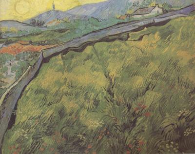 Vincent Van Gogh Field of Spring Wheat at Sunrise (nn04) China oil painting art